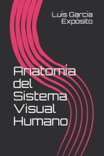 Anatomia del Sistema Visual Humano