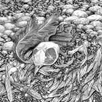 BONES