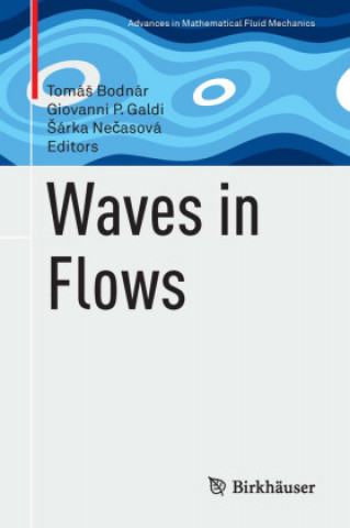 Waves in Flows