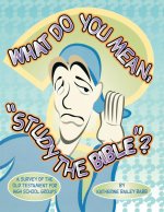 What Do You Mean, Study The Bible?