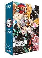 Demon Slayer - Coffret (T19 + Roman N°02)