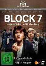 Block 7 - Jugendliche im Strafvollzug - Die komplette Serie (Teil 1-7) (2 DVDs)