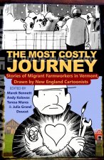 Most Costly Journey
