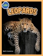 Amazing World of Leopards Booklet with Activities ages 4-8