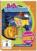 Bibi Blocksberg - Sammelbox 07