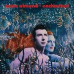 Enchanted (2CD+1DVD Expanded Wallet Set)
