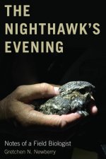 Nighthawk's Evening