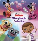 Disney Junior Storybook Collection (refresh)