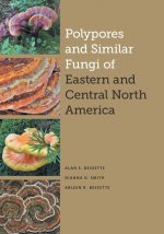 Polypores and Similar Fungi of Eastern and Central North America