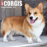 Just Corgis 2022 Wall Calendar, Corgi Dogs and Puppies (Dog Breed)