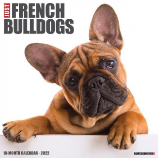 Just French Bulldogs 2022 Wall Calendar, (Dog Breed)