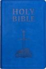 NASB Children's Edition: Dawn Blue