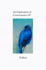 Exploration of Consciousness IV