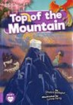 Top of the Mountain