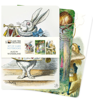 Alice in Wonderland Set of 3 Midi Notebooks