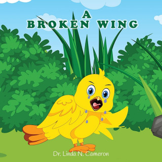 Broken Wing