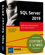 SQL SERVER 2019 - COFFRET DE 2 LIVRES : MAITRISEZ L'ADMINISTRATION ET LA MISE EN OEUVRE