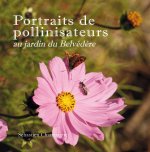 Portraits de pollinisateurs