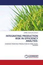 Integrating Production Risk in Efficiency Analysis