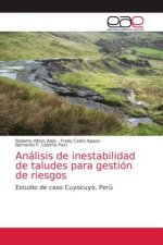 Analisis de inestabilidad de taludes para gestion de riesgos