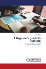 Beginner's guide to Auditing