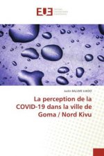 perception de la COVID-19 dans la ville de Goma / Nord Kivu