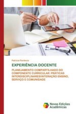 Experiencia Docente