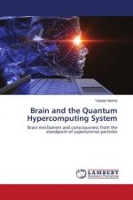 Brain and the Quantum Hypercomputing System