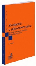 Zastúpenie v súkromnom práve. 2. vydanie