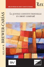 JUSTICE CONSTITUTIONNELLE EN DROIT COMPRE. Text pour une serie de conferences, Aix-en-Provence 1992