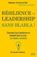 Resilience Et Leadership Sans Blabla !