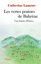 Les vertes prairies de Bahrene