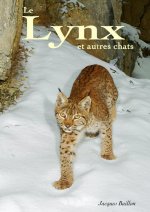 Le lynx et autres chats
