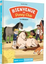 BIENVENUE AU PONEY-CLUB TOME 3 - LA BLESSURE