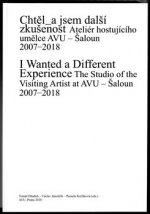 Chtěl_a jsem další zkušenost - Ateliér hostujícího umělce AVU. Šaloun 2007-2018