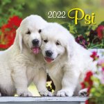 Psi 2022 - nástěnný kalendář