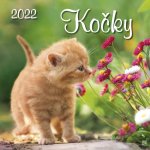 Kočky 2022 - nástěnný kalendář