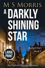 Darkly Shining Star (Large Print)