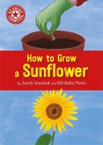 Reading Champion: How to Grow a Sunflower