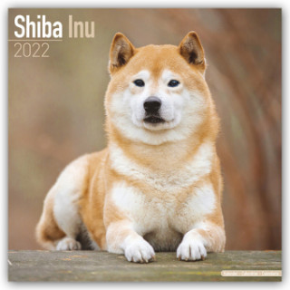 Shiba Inu 2022 Wall Calendar