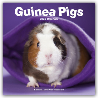 Guinea Pigs 2022 Wall Calendar