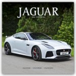 Jaguar 2022 Wall Calendar