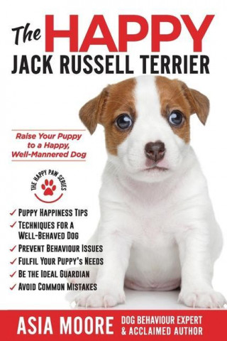 Happy Jack Russell Terrier