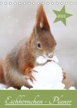 Eichhörnchen - Planer (Tischkalender 2022 DIN A5 hoch)