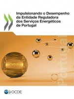 Impulsionando O Desempenho Da Entidade Reguladora DOS Servicos Energeticos de Portugal