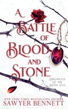 Battle of Blood and Stone