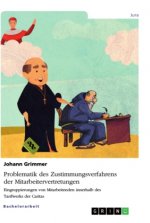 Problematik des Zustimmungsverfahrens der Mitarbeitervertretungen. Eingruppierungen von Mitarbeitenden innerhalb des Tarifwerks der Caritas