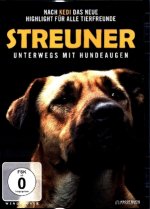 Streuner - Unterwegs mit Hundeaugen