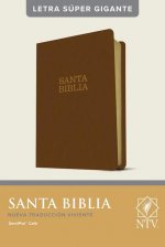 Santa Biblia Ntv, Letra Súper Gigante