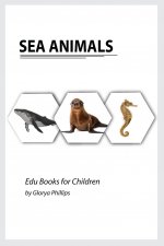 Sea Animals